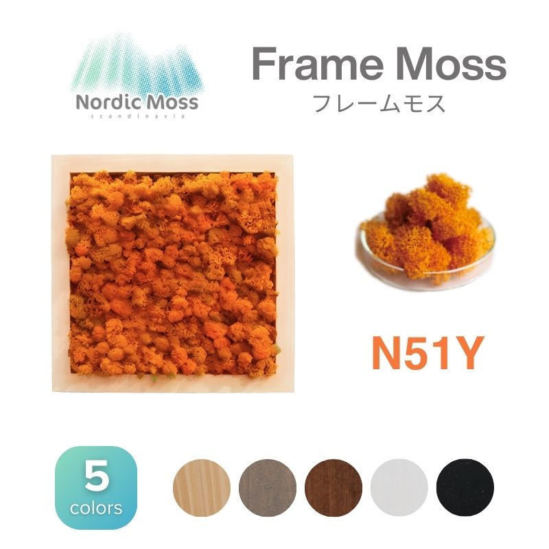 ノルディックモス フレームモス N51Y