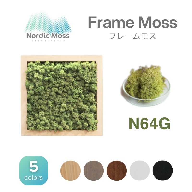 ノルディックモス フレームモス N64G