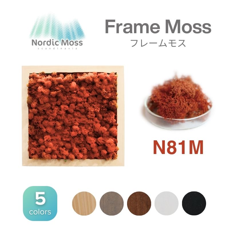 ノルディックモス フレームモス N81M