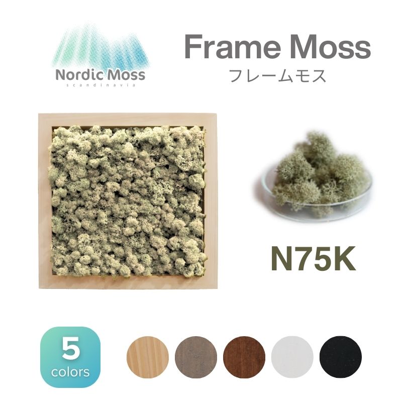 ノルディックモス フレームモス N75K