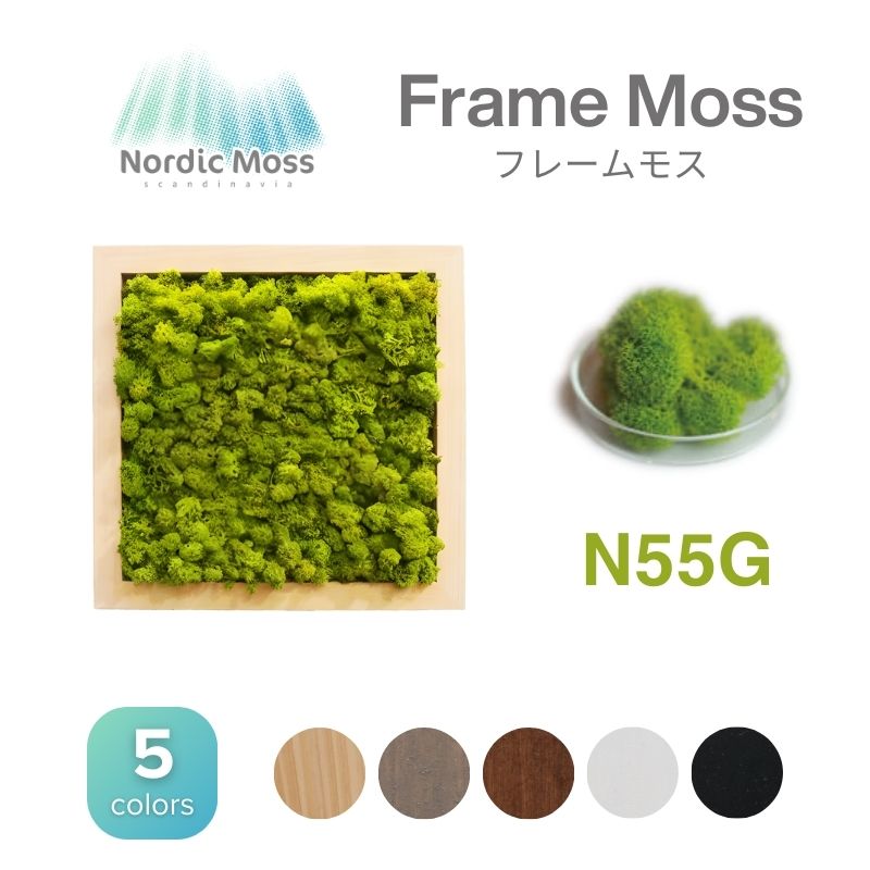 ノルディックモス フレームモス N55G