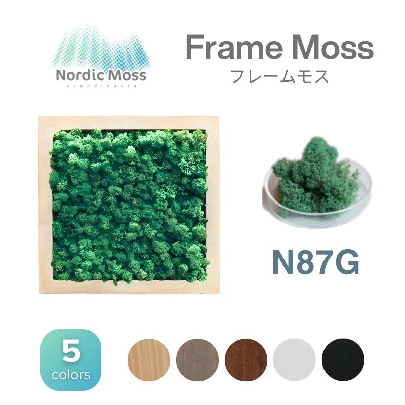 ノルディックモス フレームモス N87G