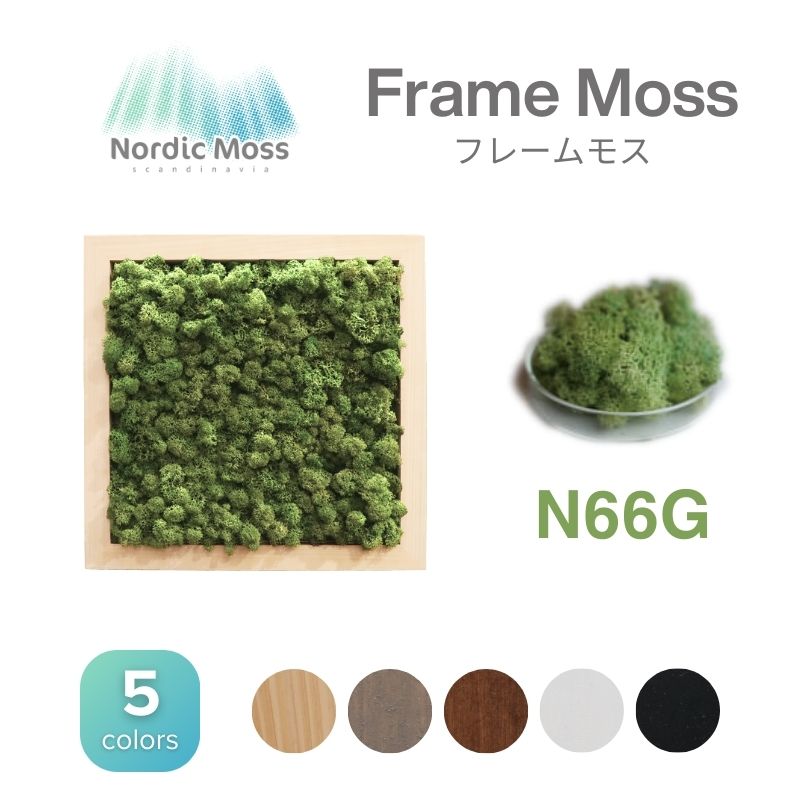 ノルディックモス フレームモス N66G