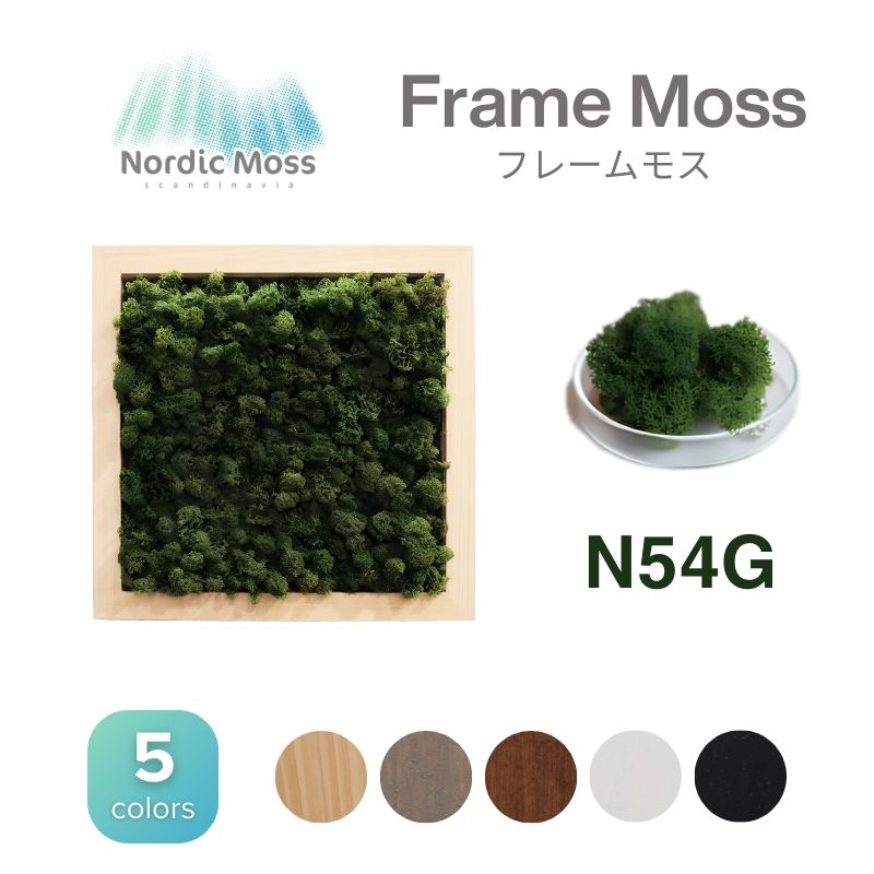 ノルディックモス フレームモス N54G