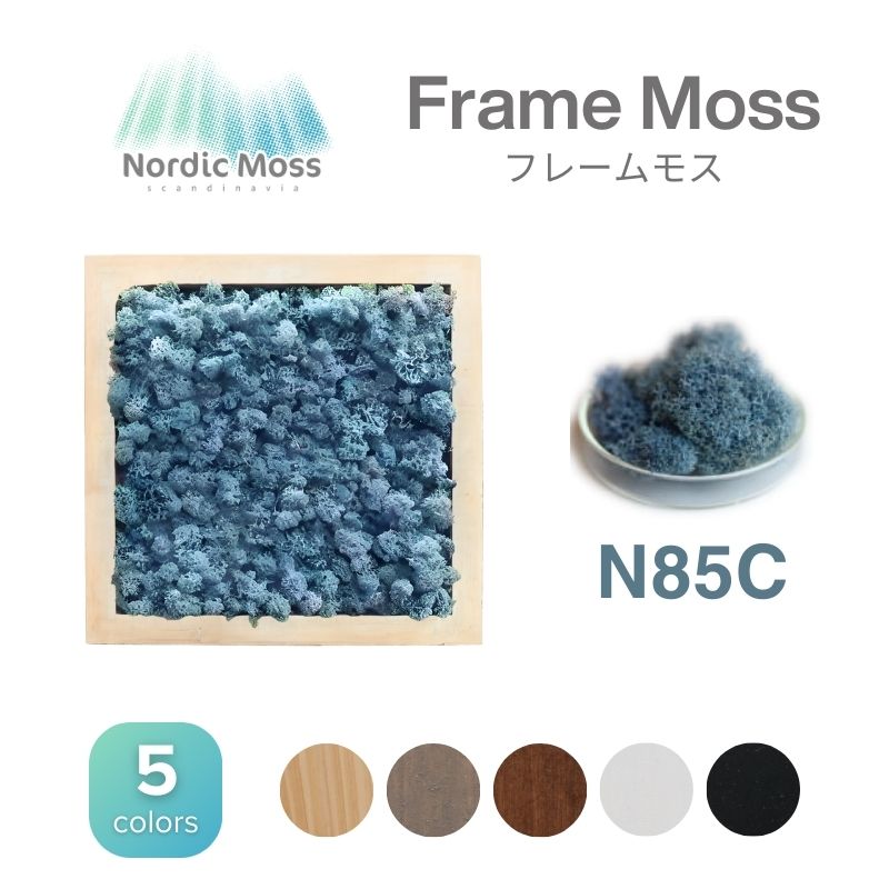 ノルディックモス フレームモス N85C