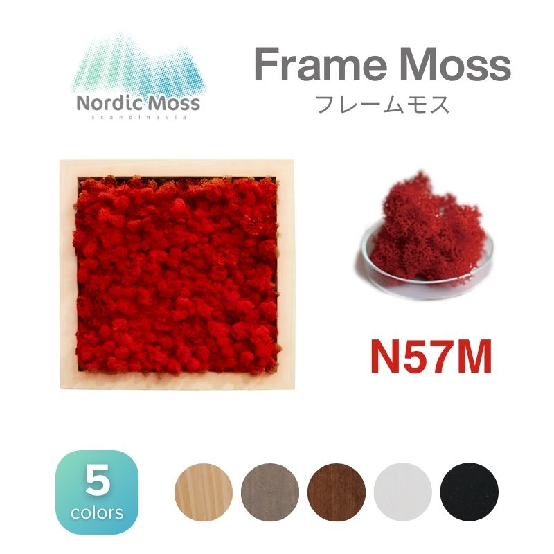 ノルディックモス フレームモス N57M