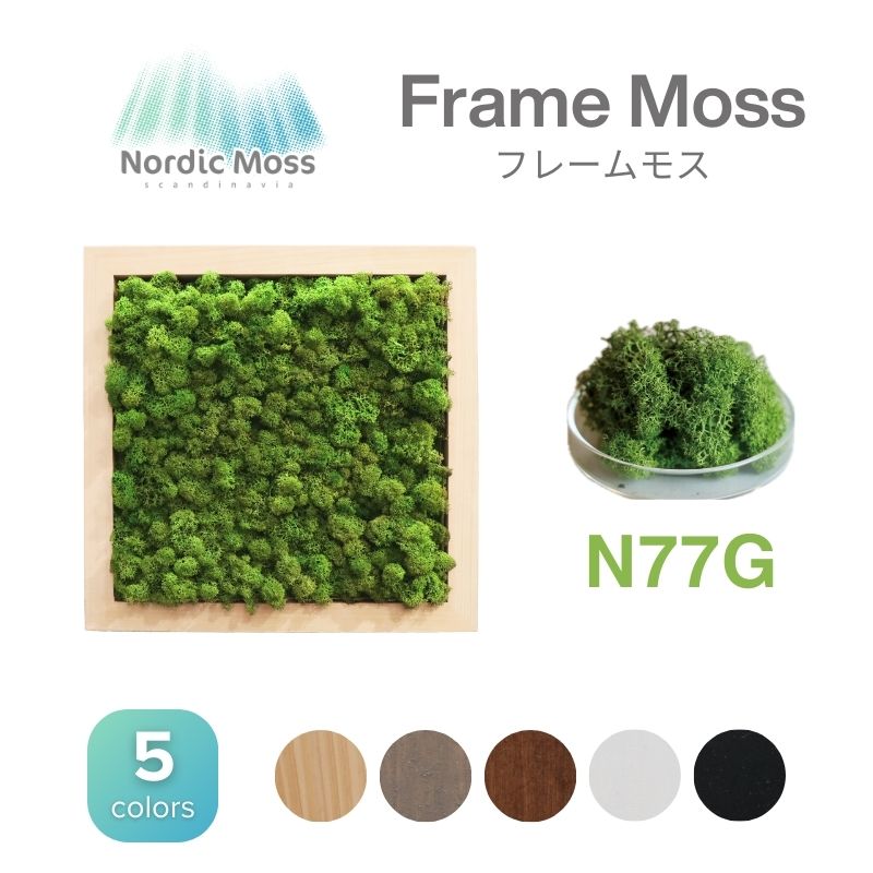 ノルディックモス フレームモス N77G