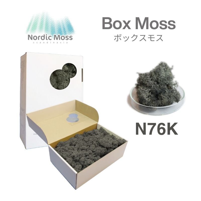 ノルディックモス ボックスモス N76K