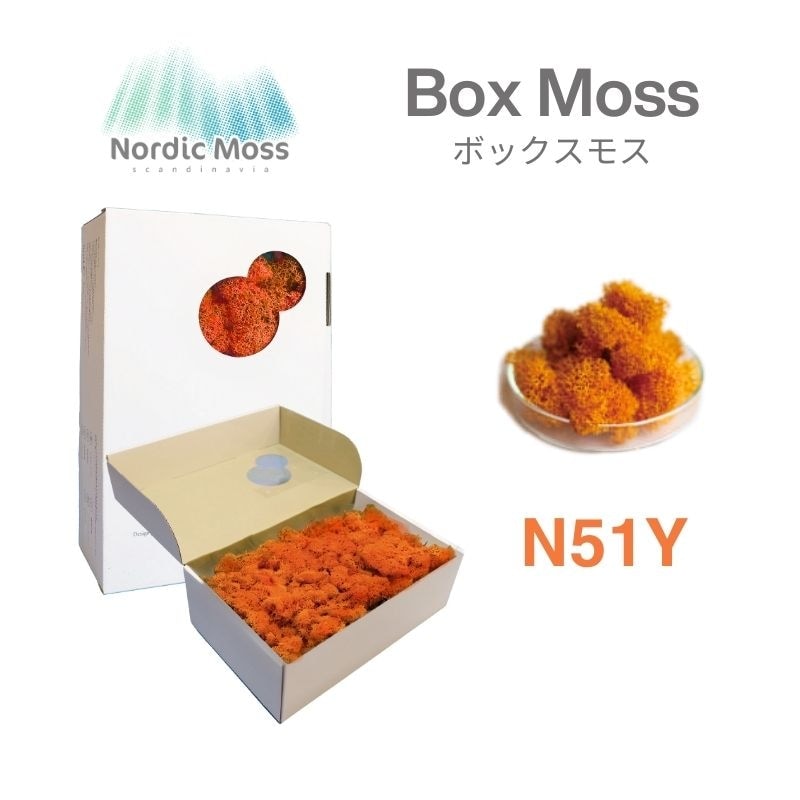 ノルディックモス ボックスモス N51Y