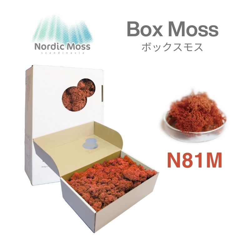 ノルディックモス ボックスモス N81M
