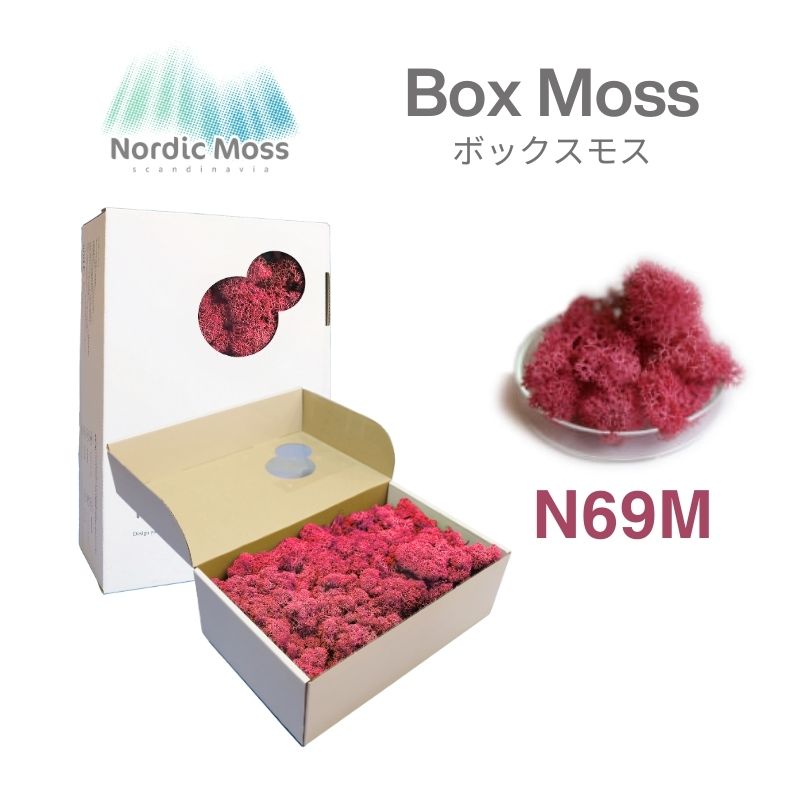 ノルディックモス ボックスモス N69M 
