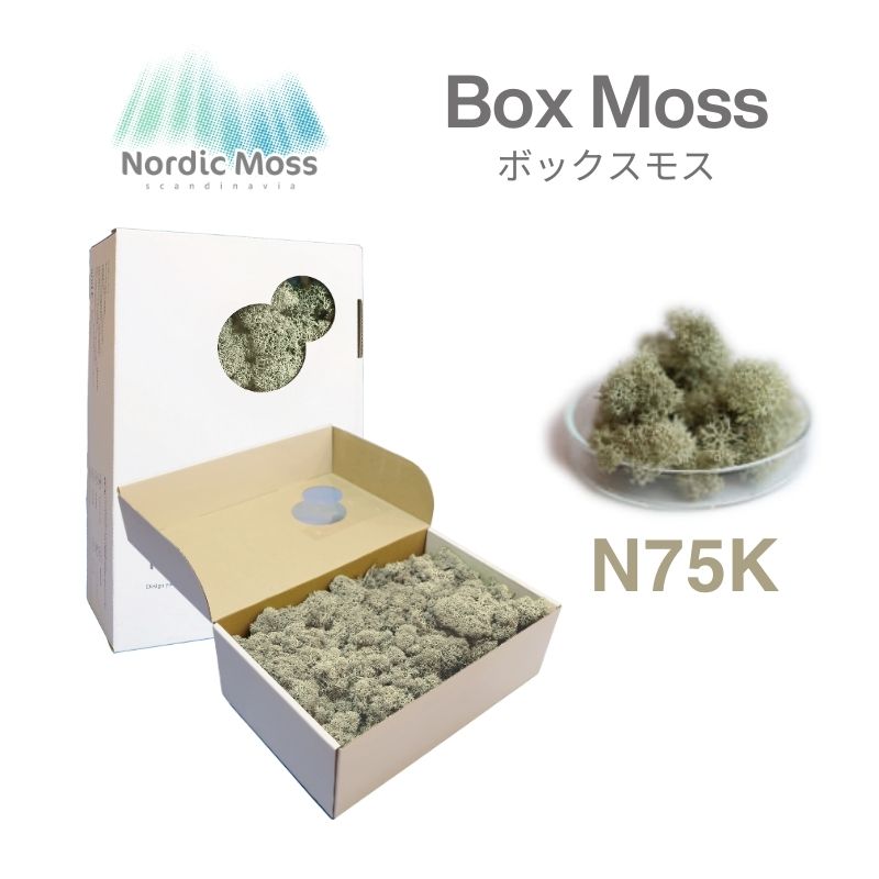 ノルディックモス ボックスモス N75K