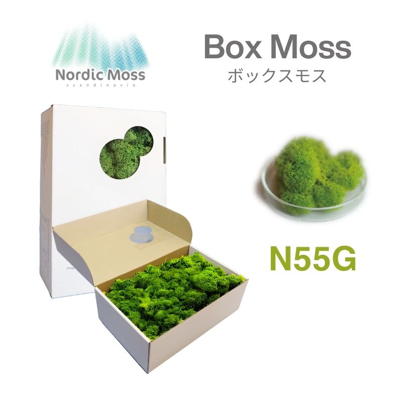 ノルディックモス ボックスモス N55G