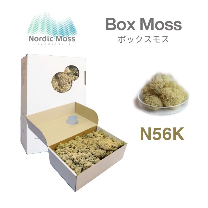 ノルディックモス ボックスモス N56K