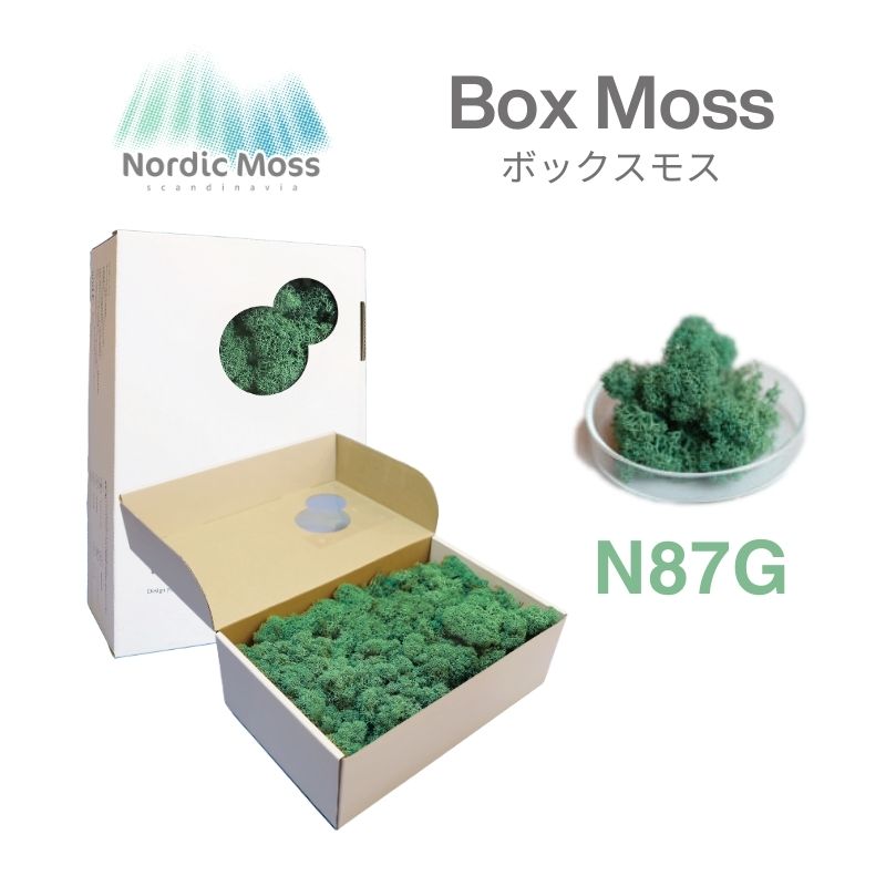 ノルディックモス ボックスモス N87G