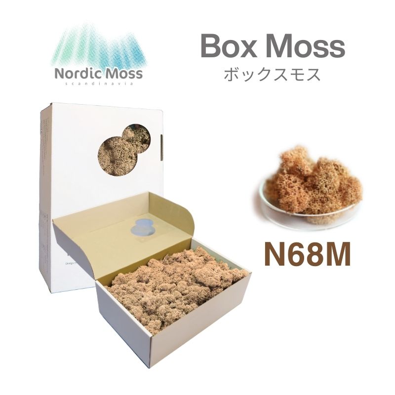 ノルディックモス ボックスモス N68M 