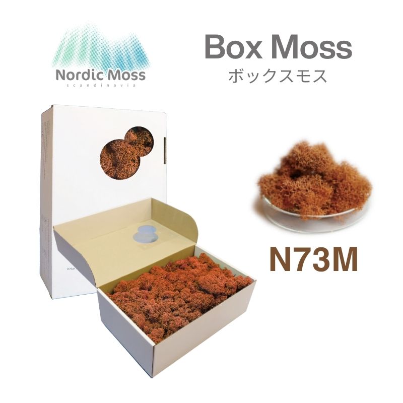 ノルディックモス ボックスモス N73M 