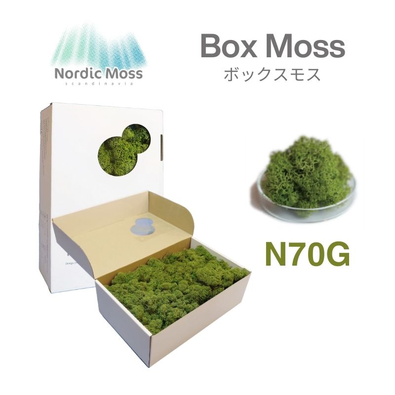 ノルディックモス ボックスモス N70G