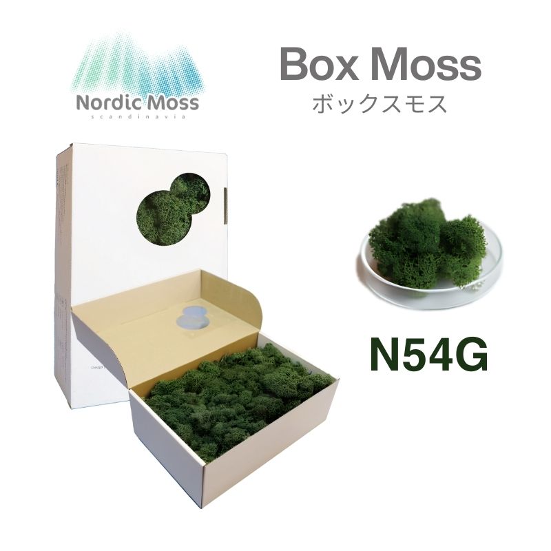ノルディックモス ボックスモス N54G