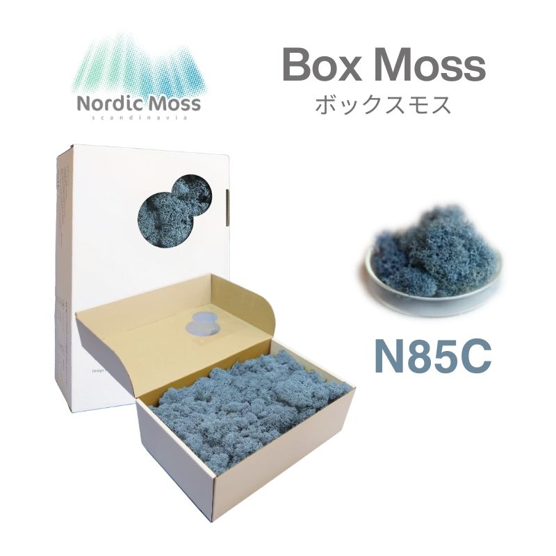 ノルディックモス ボックスモス N85C