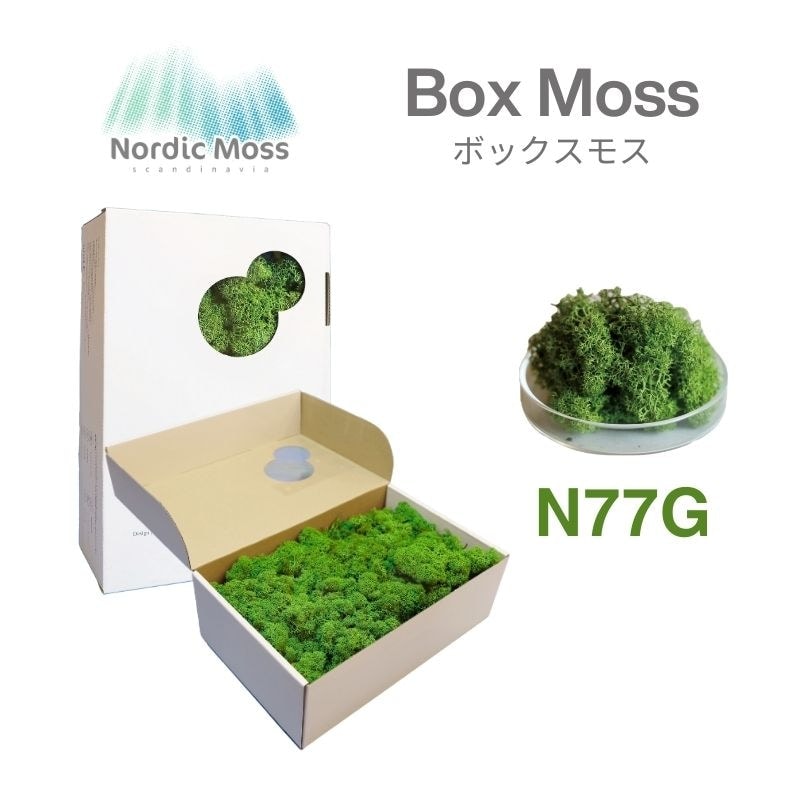 ノルディックモス ボックスモス N85C