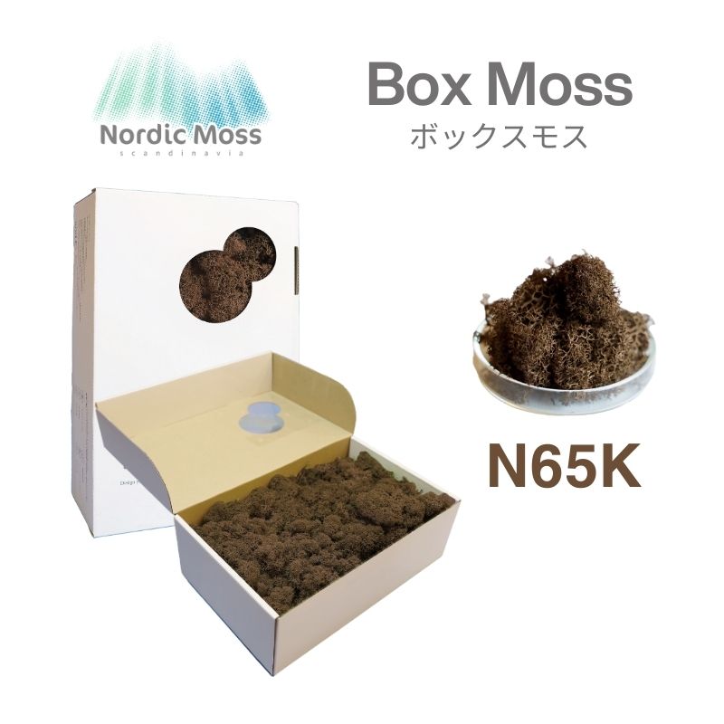 ノルディックモス ボックスモス N57M
