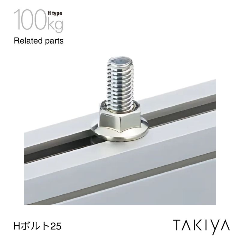 Hボルト25 (M8X25) 100kg [H type] タキヤ