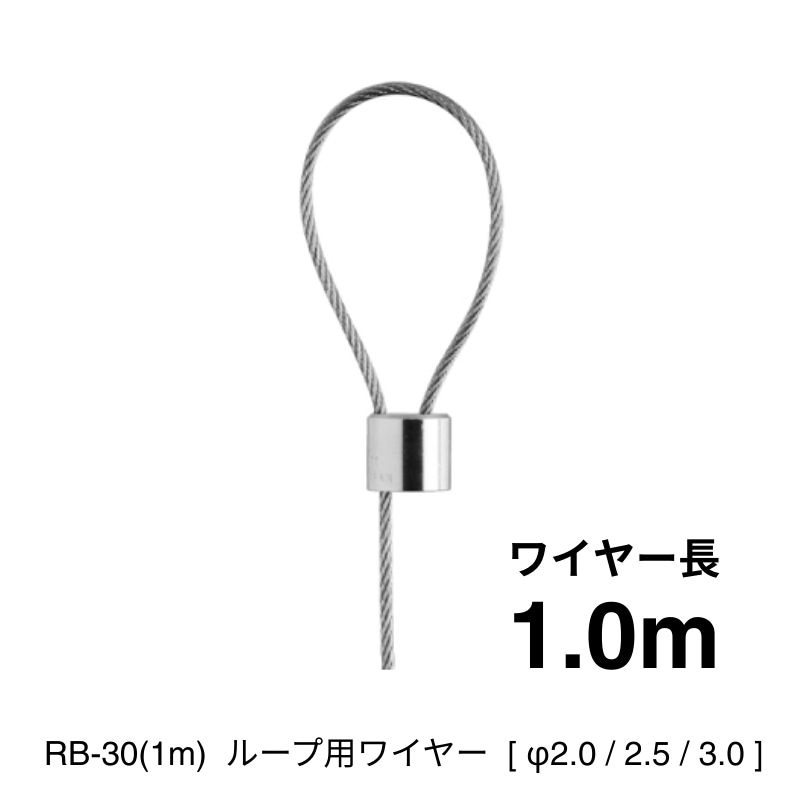 RB-30(1m)ループ用ワイヤー [φ2.0～3.0]