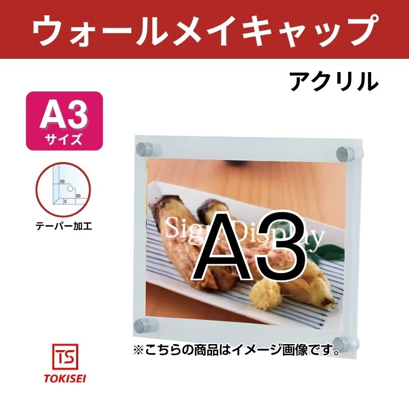 ウォールメイキャップアクリル[A3]　常磐精工