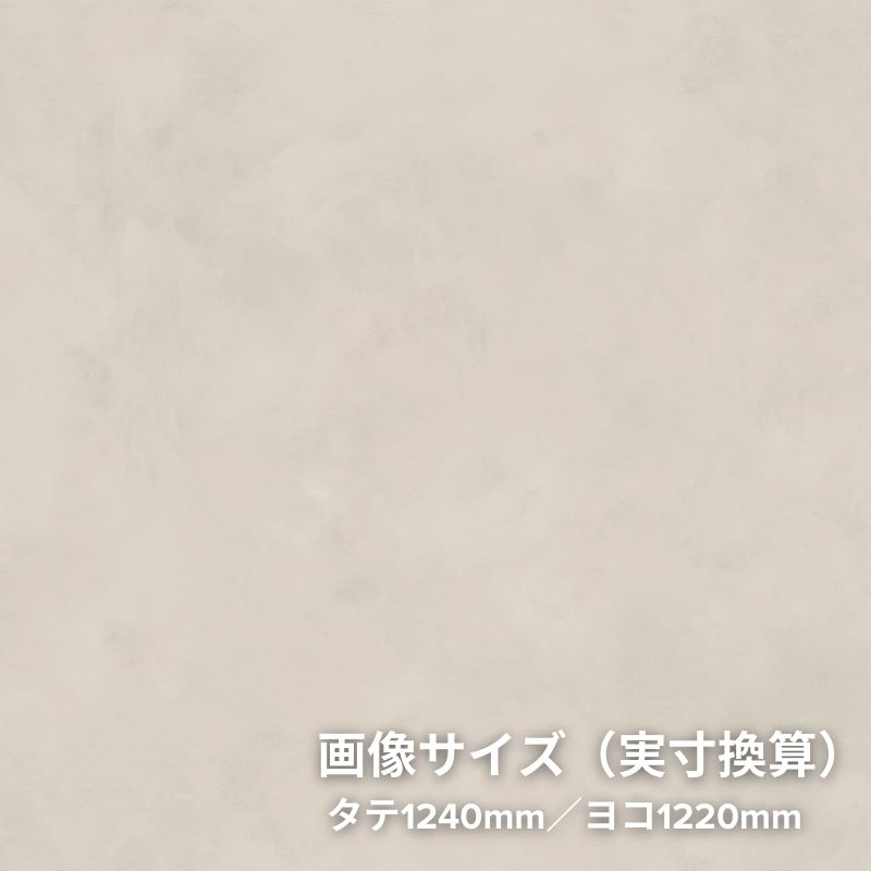 TN-5658 アーバンプラスター リアテック スタッコ/プラスター サンゲツ