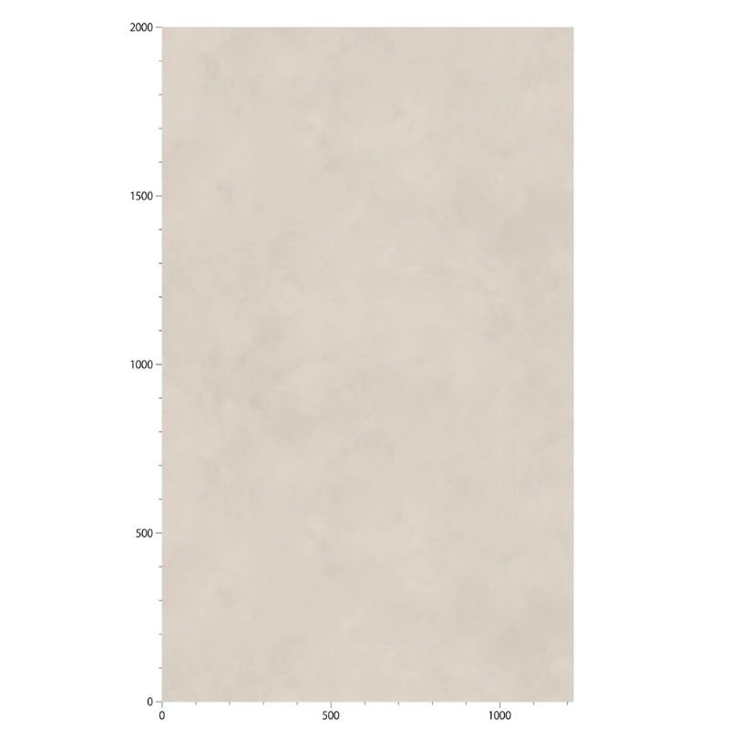 TN-5658 アーバンプラスター リアテック スタッコ/プラスター サンゲツ