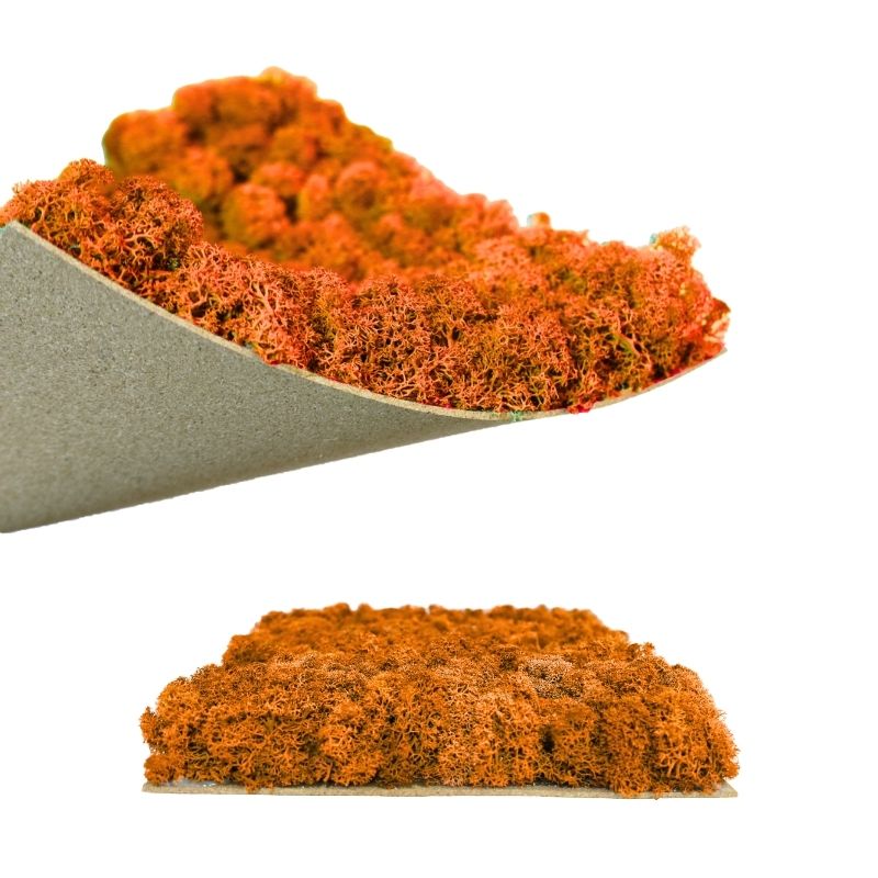 ノルディックモス パネルモス N51Y