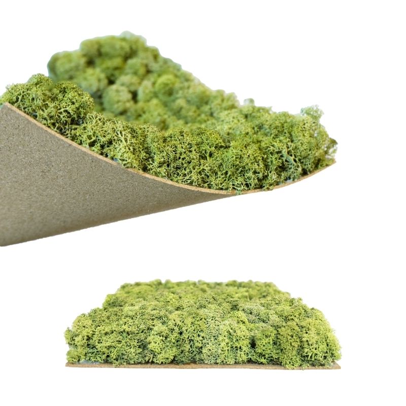 ノルディックモス パネルモス N64G