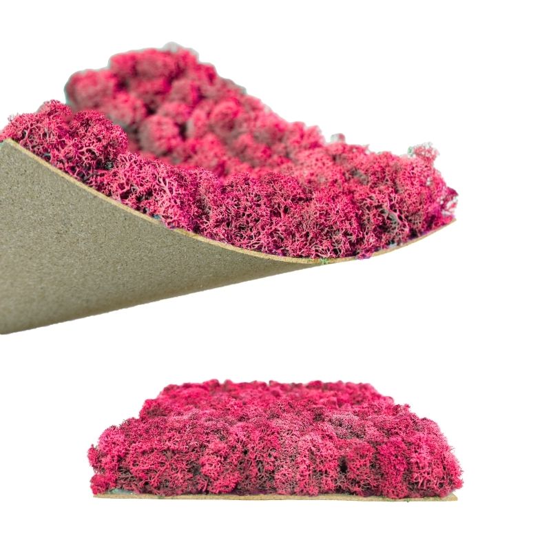 ノルディックモス パネルモス N69M