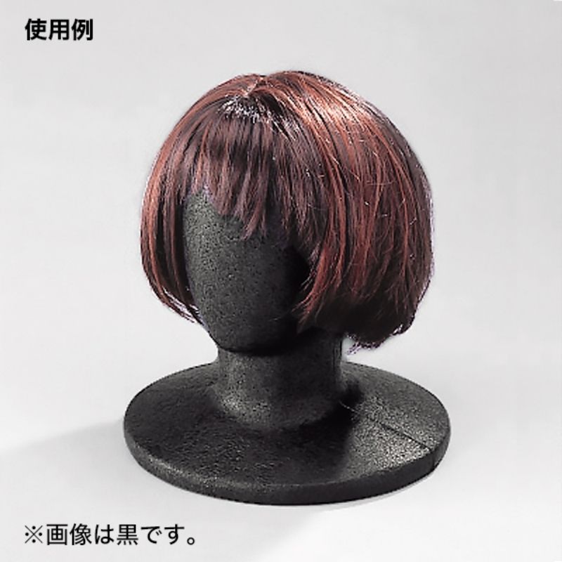 マネキン　黒 マネキン・トルソーの通販・販売｜ディスプレイプラン｜婦人