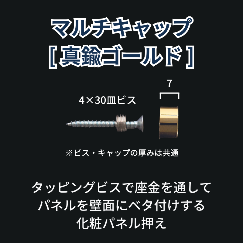 ベルク マルチキャップ 真鍮ゴールド 化粧ビス