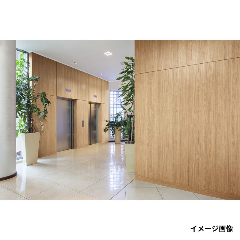 VG-10267A オルティノ エルム/追柾