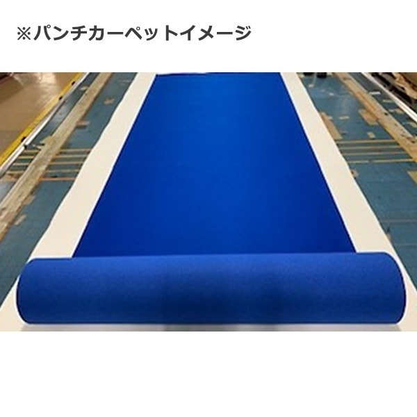 パンチカーペット カルテックス CALTEX2 [1500mm幅]