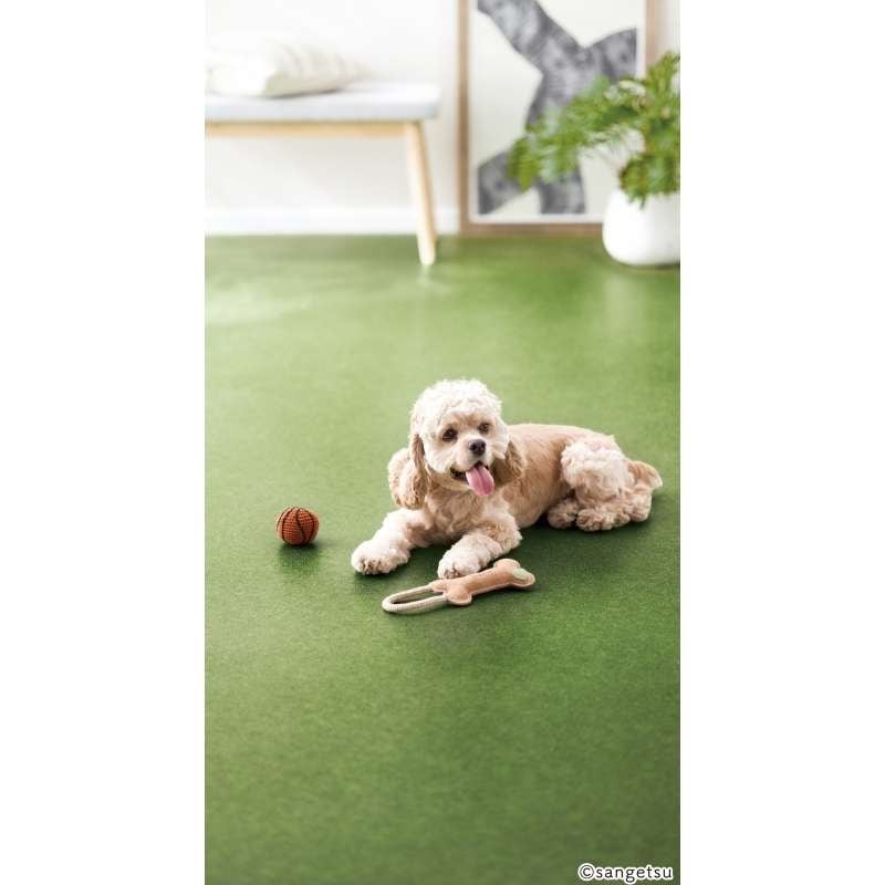 サンゲツ クッションフロア HW-12206 芝生 わんにゃん消臭フロア｜看板