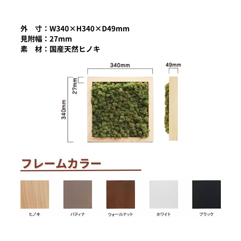 【次回入荷未定】ノルディックモス フレームモス N60Y