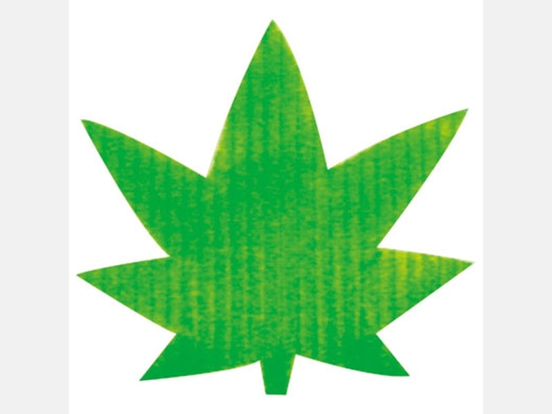 バラン 紅葉／緑 Ｃ色 バラン １０００枚入 <1箱> 小ロット販売
