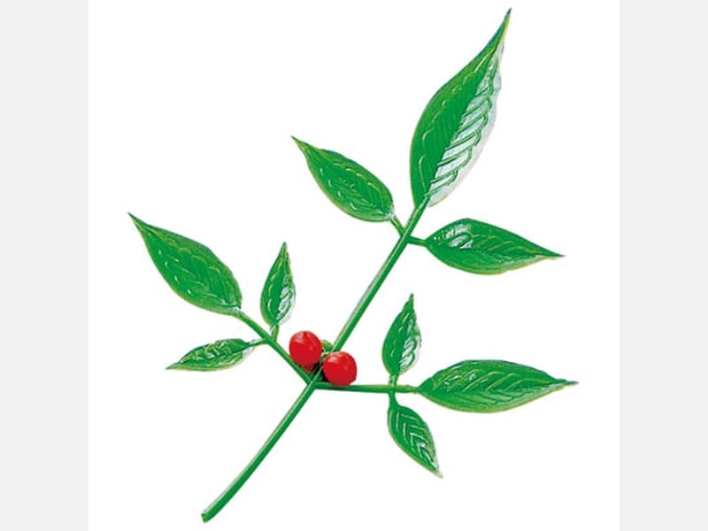 飾り 南天小 N-2 <100本> 小ロット販売