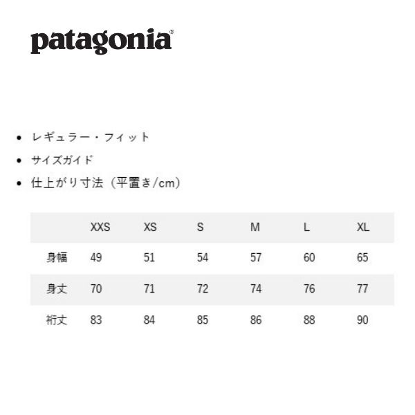 【ポイント10倍】パタゴニア patagonia ウィメンズ・インサレーテッド・パウダー・タウン・ジャケット W's Insulated Powder Town Jkt 31201[国内正規品]