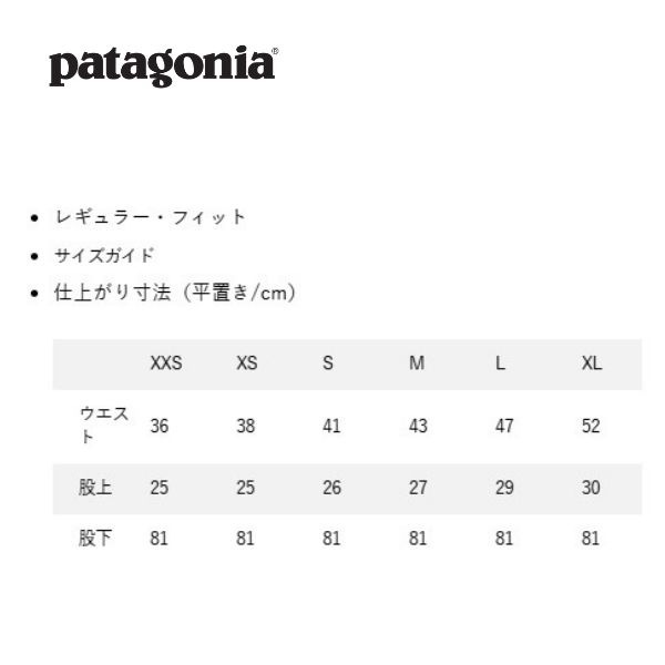 【ポイント10倍】パタゴニア patagonia ウィメンズ・インサレーテッド・パウダー・タウン・パンツ（レギュラー） W's Insulated Powder Town Pants - Reg 31186[国内正規品]