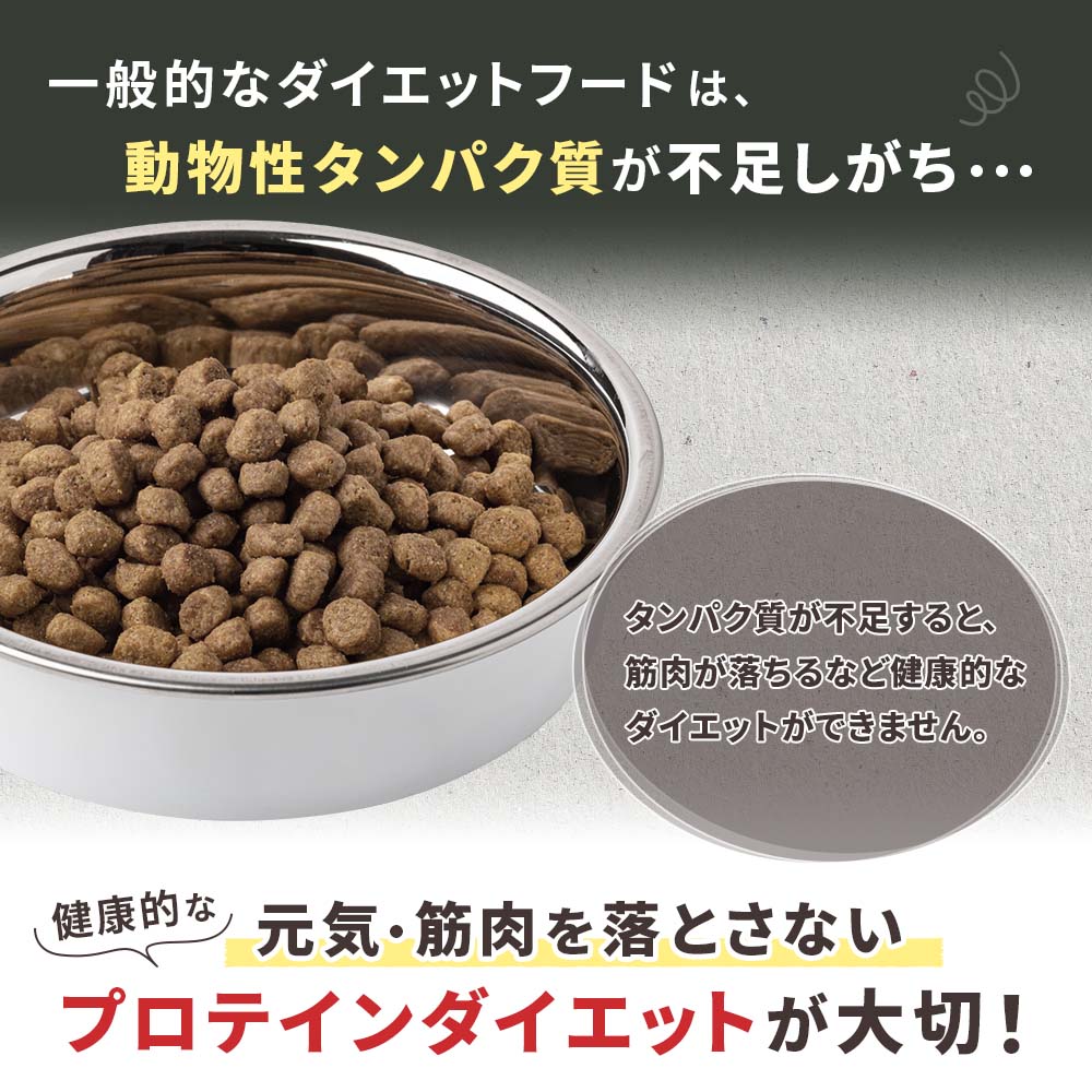 【定期宅配】DOG STANCE 鹿肉 ライト 1kg