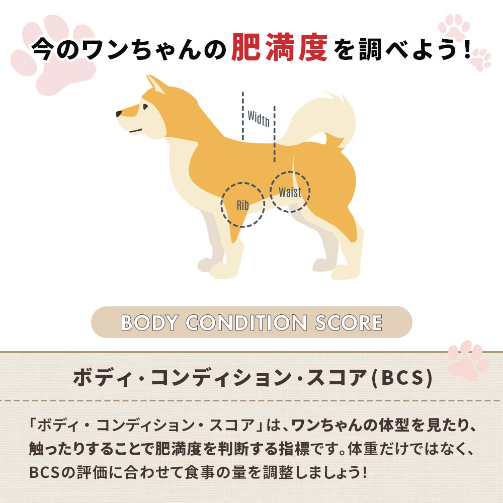 【定期宅配】DOG STANCE 鹿肉 ライト 1kg