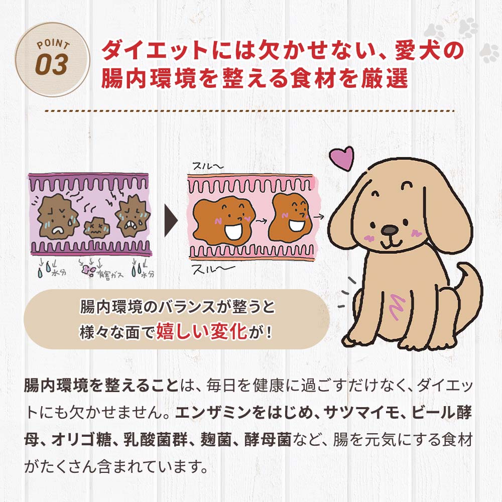 【定期宅配】DOG STANCE 鹿肉 ライト 1kg