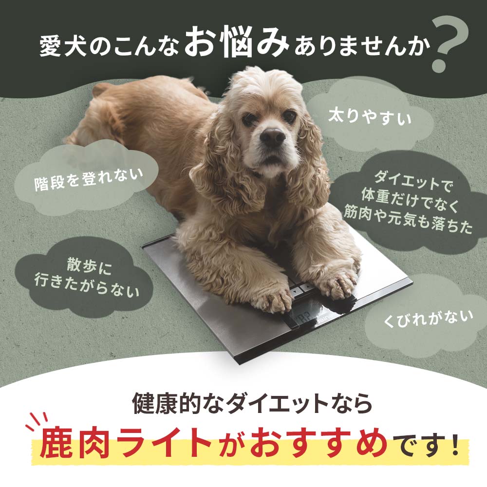 【定期宅配】DOG STANCE 鹿肉 ライト 1kg