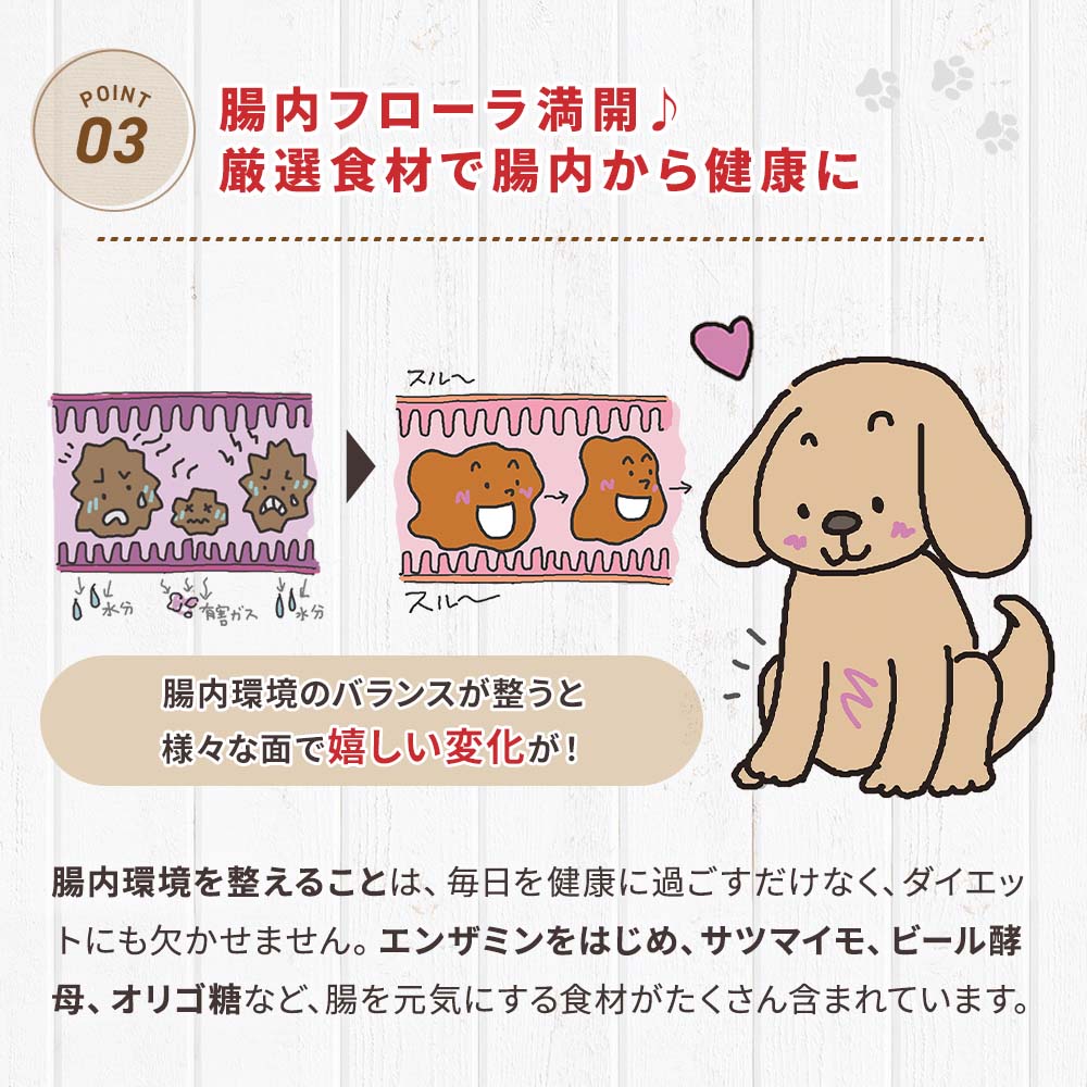 【定期宅配】DOG STANCE 鹿肉 ウェット