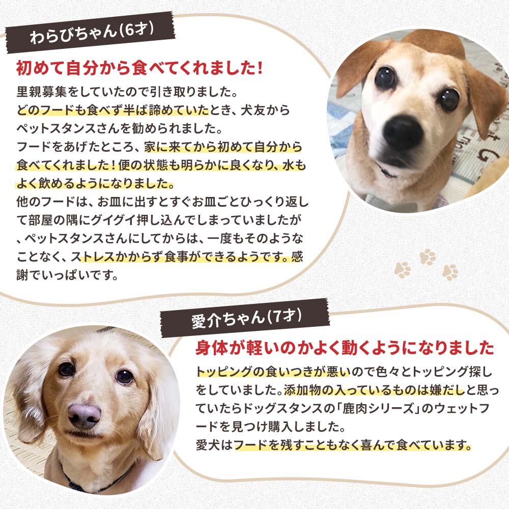 【定期宅配】DOG STANCE 鹿肉 ウェット